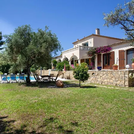 Premium In With Swimming Pool